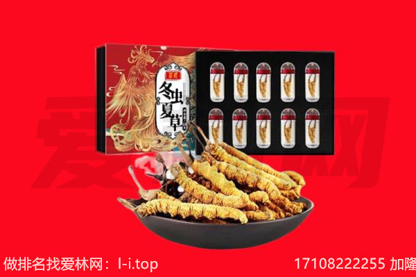 金华市回收虫草.jpg